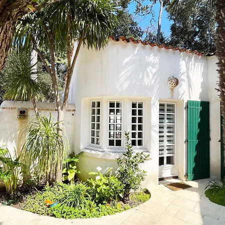 With Beautiful Private Garden On The Forest In Domino