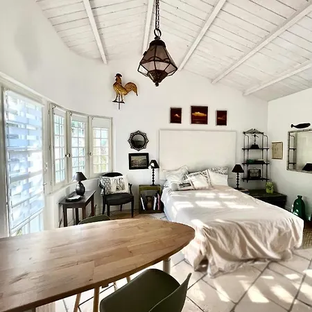 Apartmán With Beautiful Private Garden On The Forest In Domino