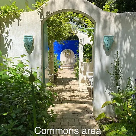 With Beautiful Private Garden On The Forest In Domino Apartment